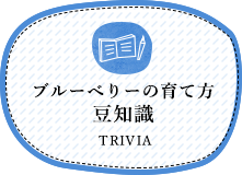 ブルーベリーの育て方 豆知識