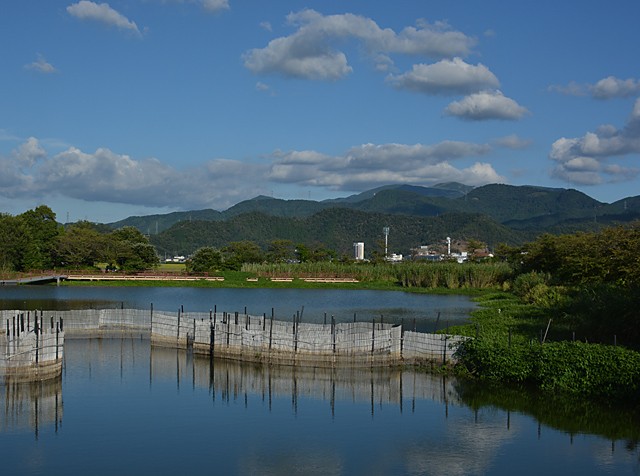 蓮沼からの眺め　米原市筑摩