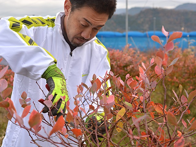 ブルーベリー栽培学校　生徒さんの声　８