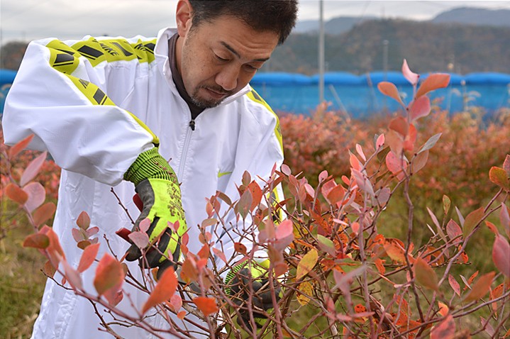 ブルーベリー栽培学校　生徒さんの声　８