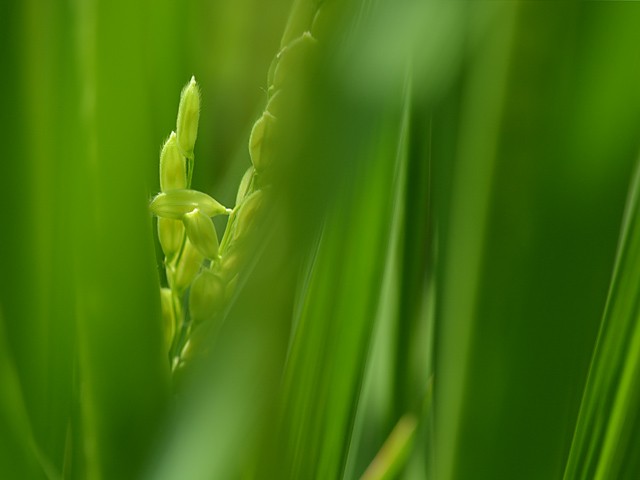 来年に向けて