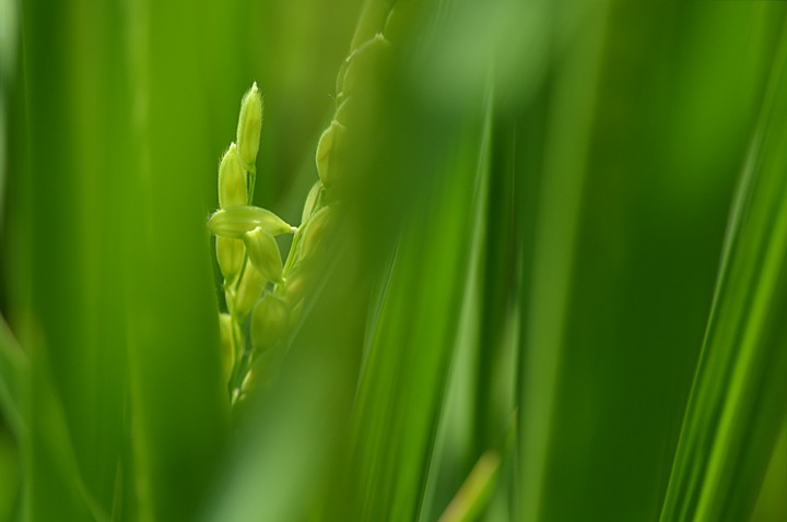 来年に向けて