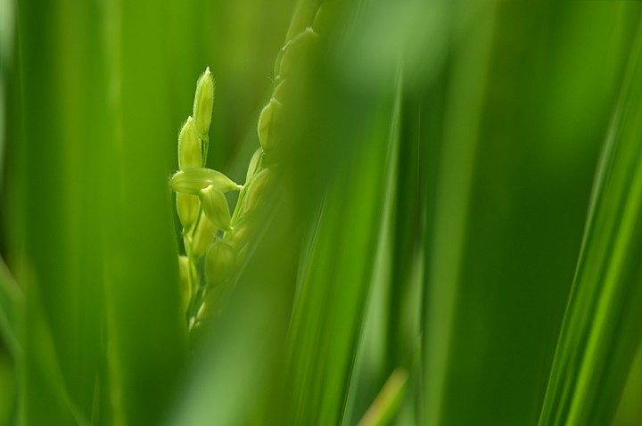 来年に向けて