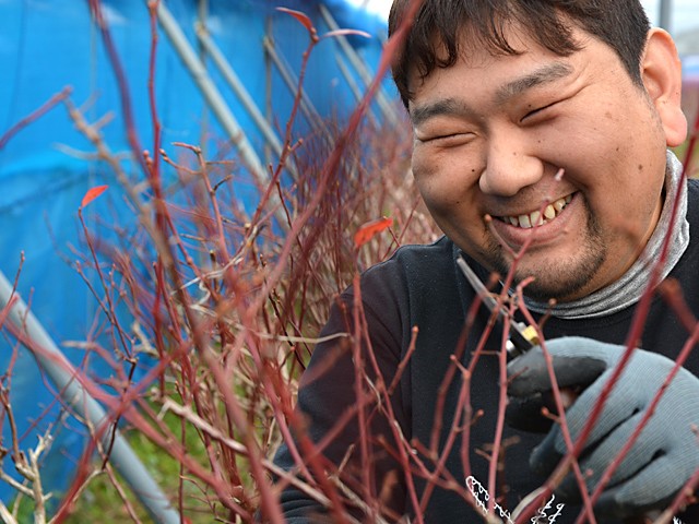 ブルーベリーの剪定講習会