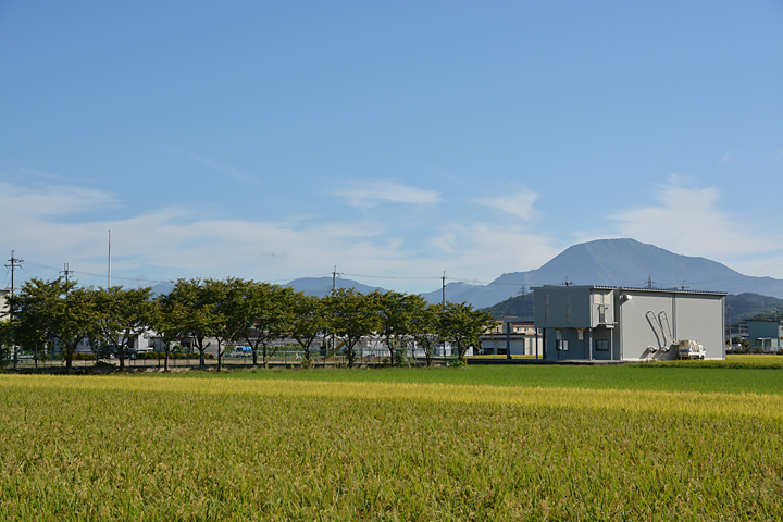 田園