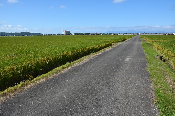 まもなく後半戦の開始