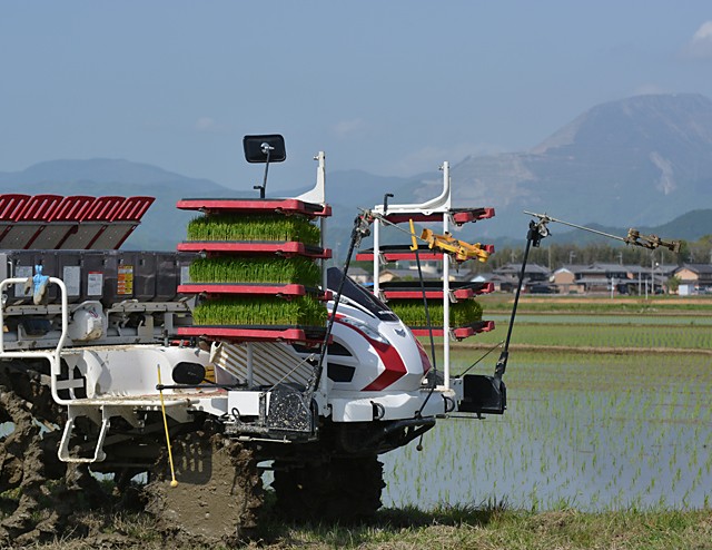 田植