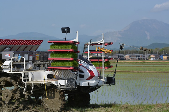 田植