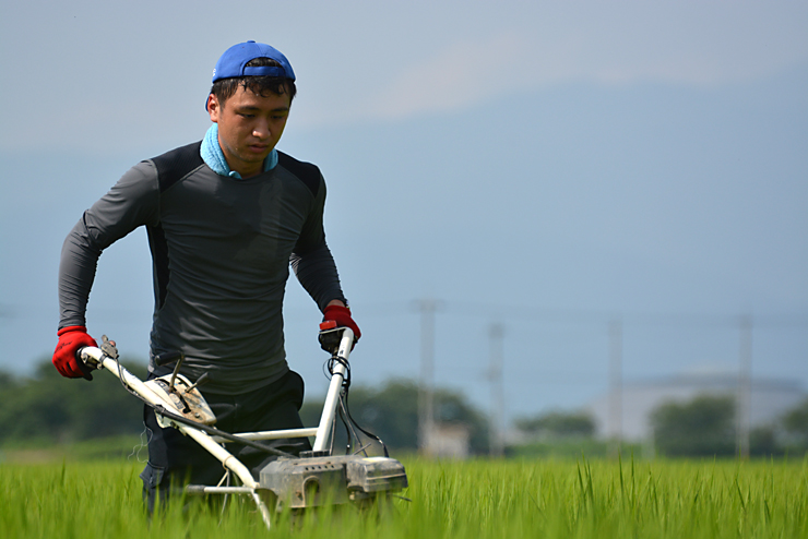 ウイングモア△草刈機!草刈り機!農業!田んぼ!畦畔! ウイングモア△草刈機!草刈り機!農業!田んぼ!畦畔!